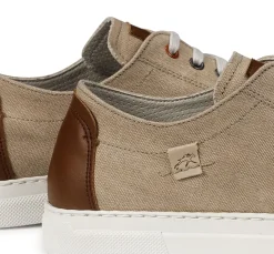 Hombre Fluchos NIKO F1415 Deportivo Taupe